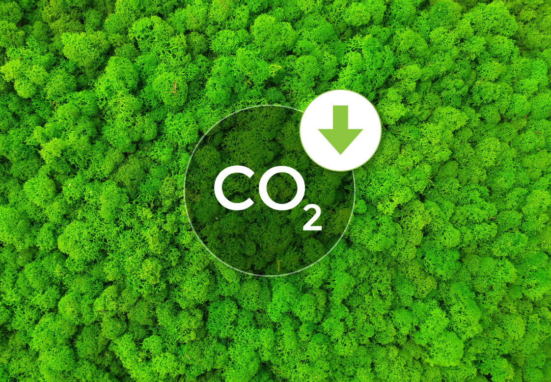 Reduce Carbon Emission